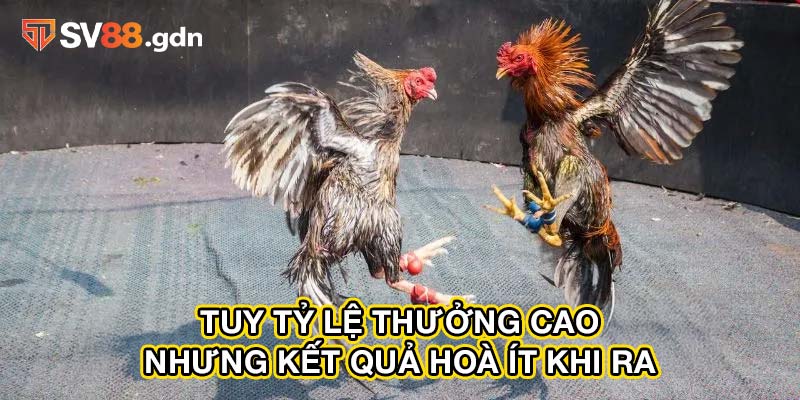 Tuy tỷ lệ thưởng cao nhưng kết quả hoà ít khi ra